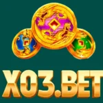 X03